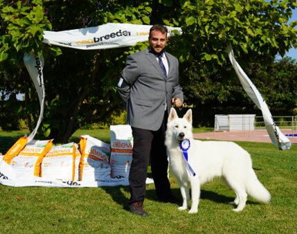 0804febc-ebcd-4f33-b0d2-edd517cc25d1