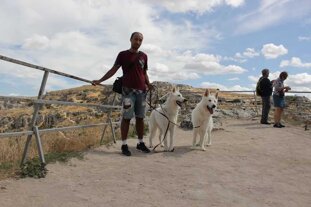 ae7a9d54-d55d-4aa4-8d4c-c90a4805dbf1