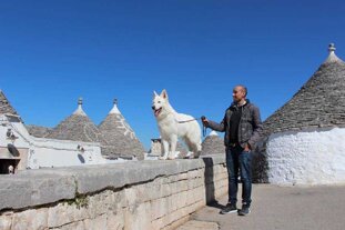 058c911c-605c-4712-be3b-b9c9a48dc2b0