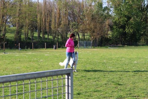 b6e7720f-5f97-41c3-9ba6-dc416650423a