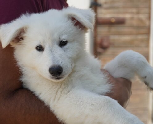 14c1e153-e585-46fd-91e9-0d51c72be442