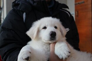 df048c44-da5b-4362-af39-efc0f62d0a8b