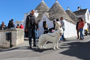 085a575c-e529-4295-9fdf-d006d887a6c4