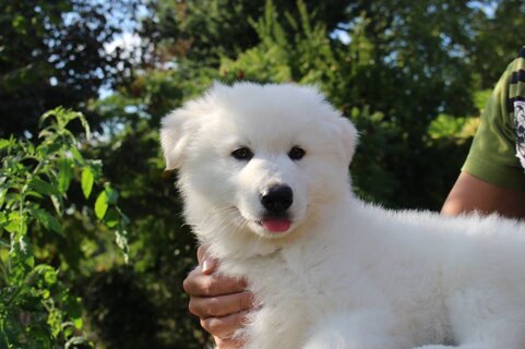 069befe1-4f5d-4738-8a36-f559436b3993 069befe1-4f5d-4738-8a36-f559436b3993