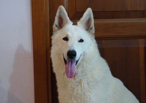 5573ae76-5e8a-45fa-a708-e5142f4f341b