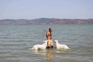 7a20907e-95cd-4f61-bb33-dffa77a9decb