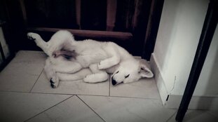 f84de888-e6aa-49a2-b420-9576758d07c1