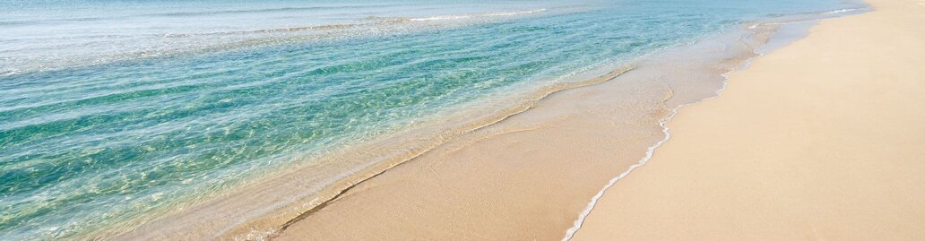 a61bc965-6655-442e-abfe-e211450c39e0