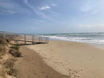 901da161-b3af-42f2-b99a-b67b95bdb063