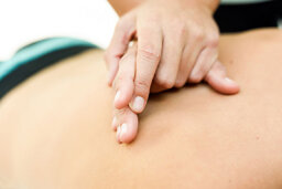 f66cde96-4ea4-4747-b3dc-60c68faadd15