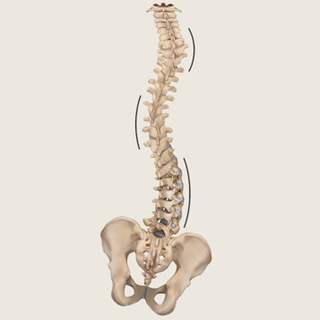 83c8710c-3216-4a41-a98d-64ae23794133