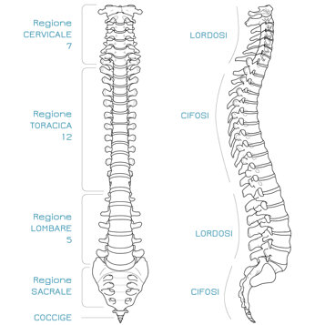 125aaeae-e18a-4349-b5a2-45da8140dd14