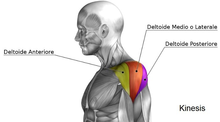 d53e1813-5b6d-4040-a2e3-d197b8a5f29f.jpg d53e1813-5b6d-4040-a2e3-d197b8a5f29f.jpg