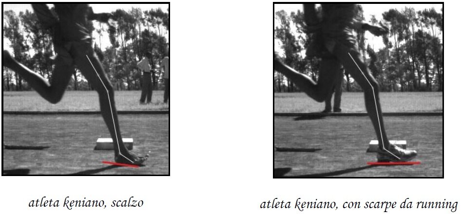 83b18aa4-14af-46ec-b502-63f4c53e755f.jpg 83b18aa4-14af-46ec-b502-63f4c53e755f.jpg