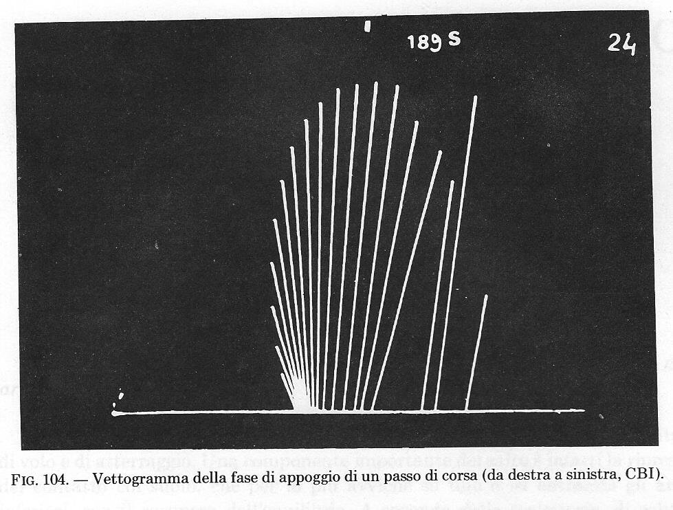be736a86-183e-471d-b545-f8e40d0d786f.jpg be736a86-183e-471d-b545-f8e40d0d786f.jpg