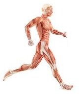 Analisi della corsa Analisi della corsa