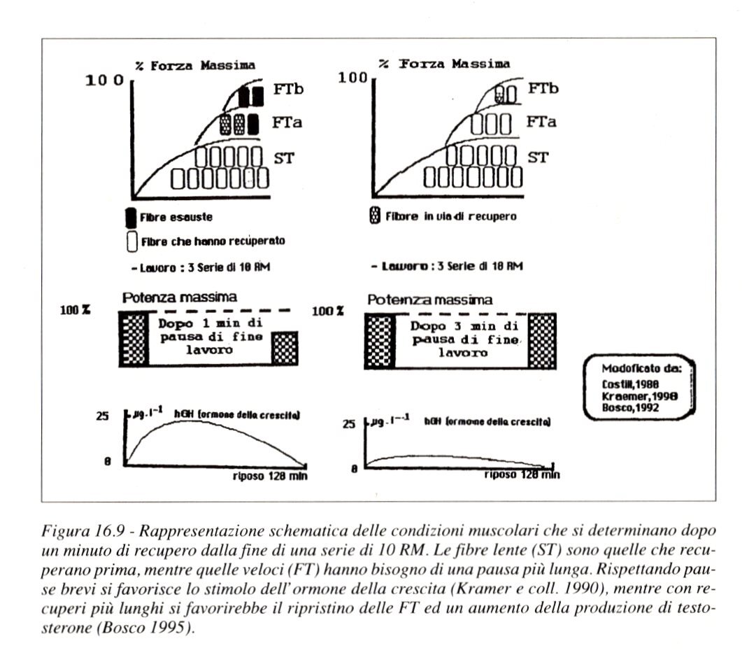 2cc36e70-ef2e-4ae4-bc04-486ae2eddf9c.jpg 2cc36e70-ef2e-4ae4-bc04-486ae2eddf9c.jpg