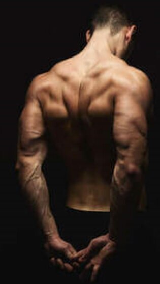 Sviluppo del trapezio. Il volume d'allenamento Sviluppo del trapezio. Il volume d'allenamento