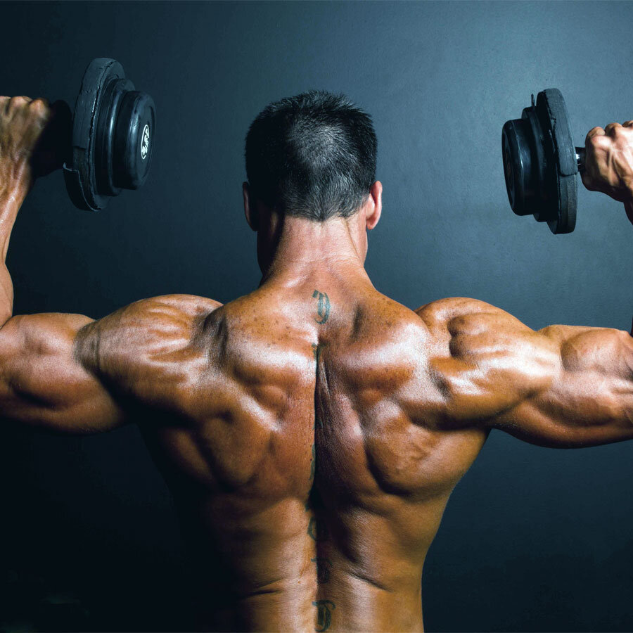 Spalle a palla di cannone Spalle a palla di cannone