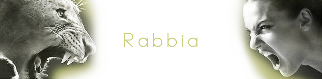 46a00d18-4b49-400b-b027-e637b41d8ffa