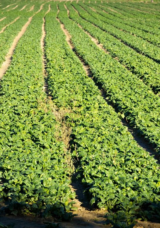 cac9ecb4-6804-4a73-b181-1e5404e0f069 cac9ecb4-6804-4a73-b181-1e5404e0f069