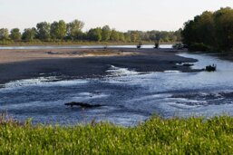 b1b5e01d-084f-40bc-a98c-5275c04e36bc