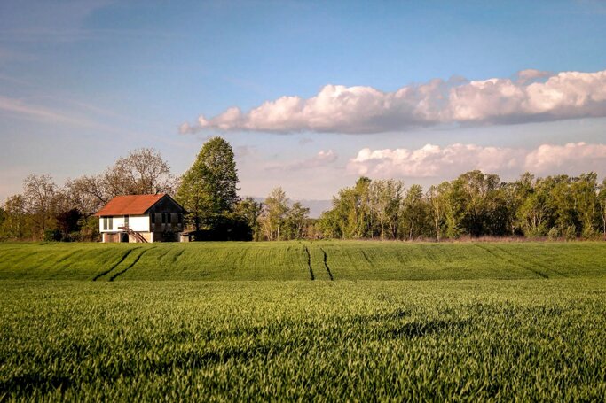 d2692216-46bd-4a25-bda8-1d7363641193