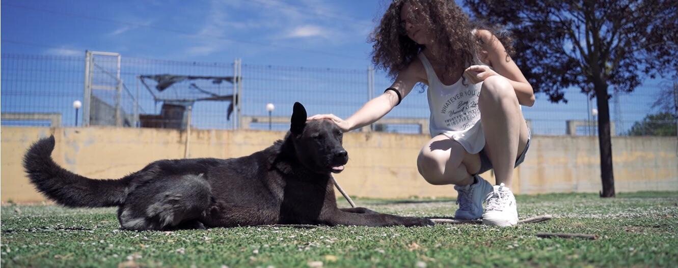 Irene Mosca: "La mia dedica a Cesare, il cane che mi hanno strappato via"