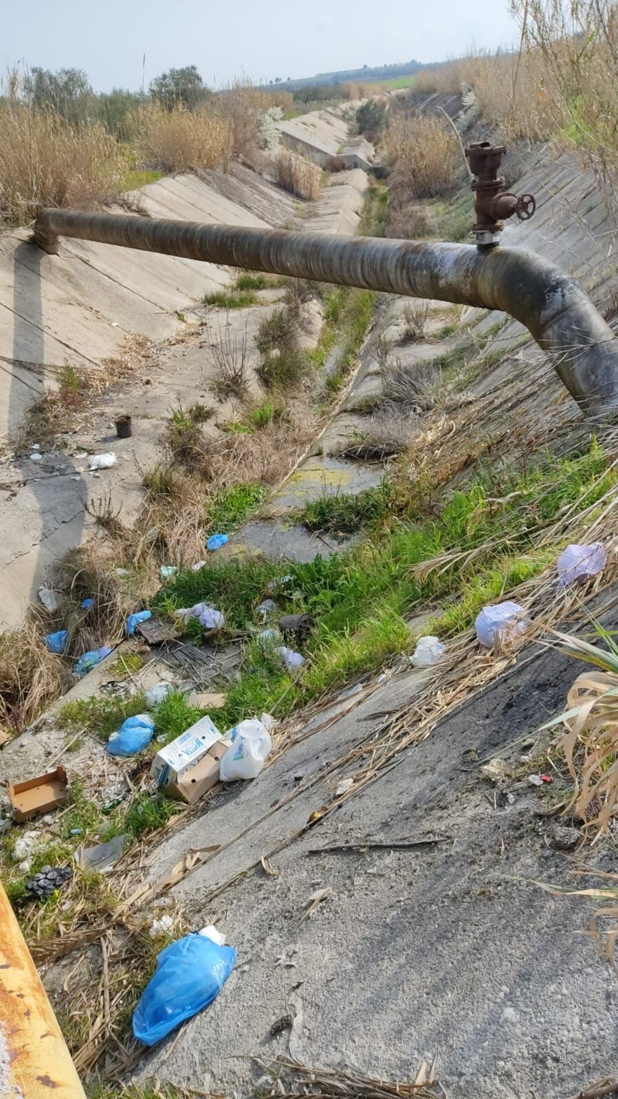 c5aafa0e-0402-4aa8-b807-8a45003d6171.jpg c5aafa0e-0402-4aa8-b807-8a45003d6171.jpg