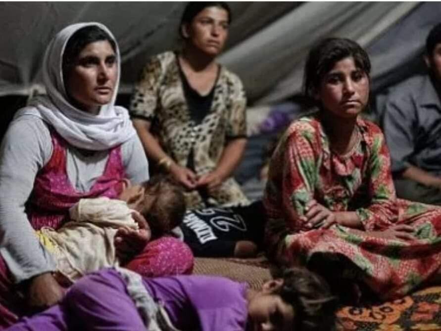 IRAQ, I FIGLI DELLA PACE - FASE 2