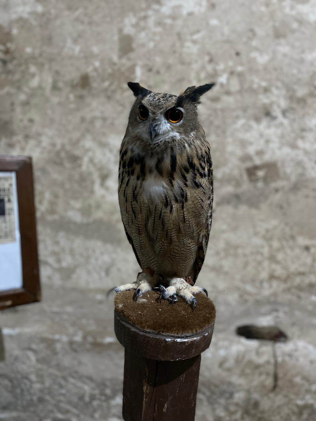 041c4c6c-878a-48aa-9ba3-325ab080d366.jpeg 041c4c6c-878a-48aa-9ba3-325ab080d366.jpeg