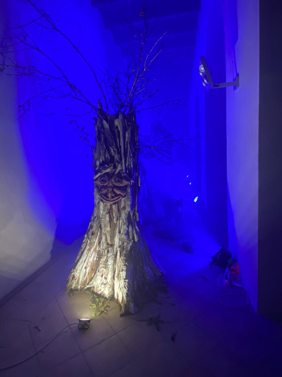 9b5cca76-2a47-4473-b63b-2b9ef031da72.jpeg 9b5cca76-2a47-4473-b63b-2b9ef031da72.jpeg