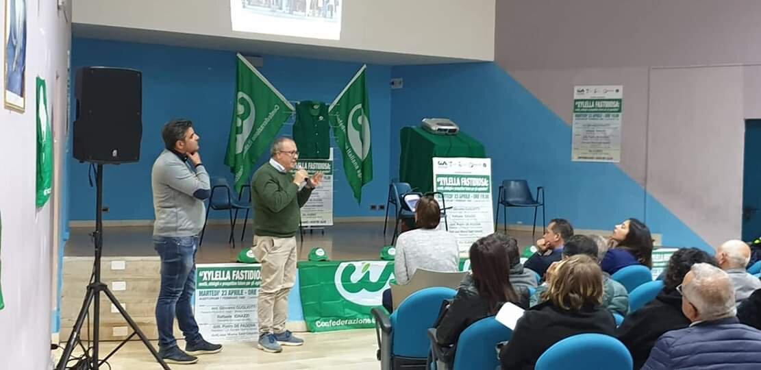 Xylella fastidiosa: se ne è parlato martedì 23 aprile a Castellaneta