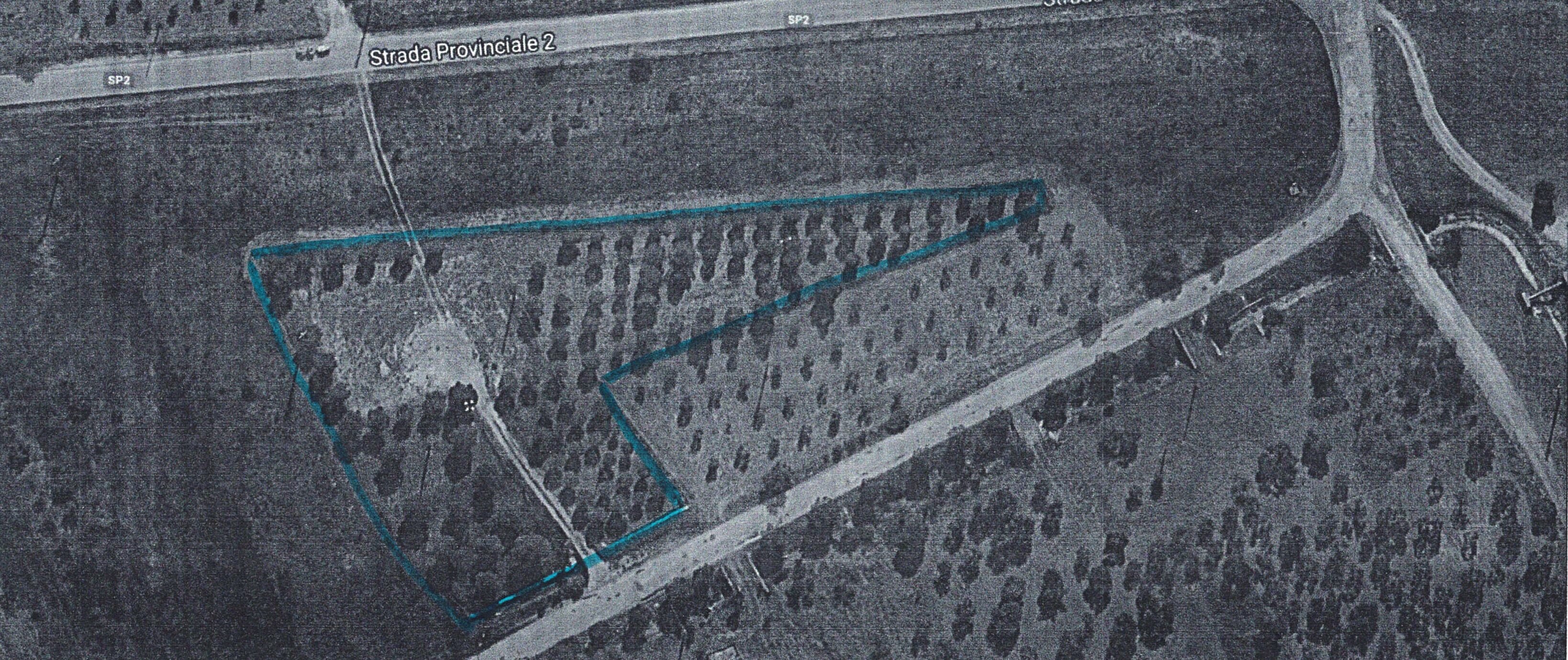 CANILE SANITARIO E OASI POLIFUNZIONALE: ECCO IL PROGETTO “PARCO AMICI DEL CANE’’