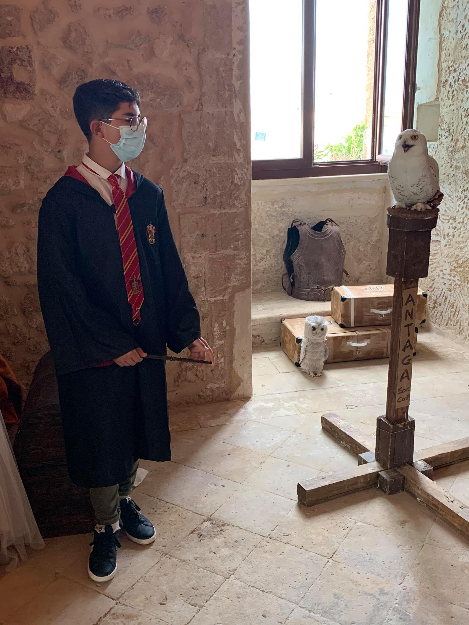 a3a349b7-32d9-4276-a9ae-8357c3324d89.jpg a3a349b7-32d9-4276-a9ae-8357c3324d89.jpg