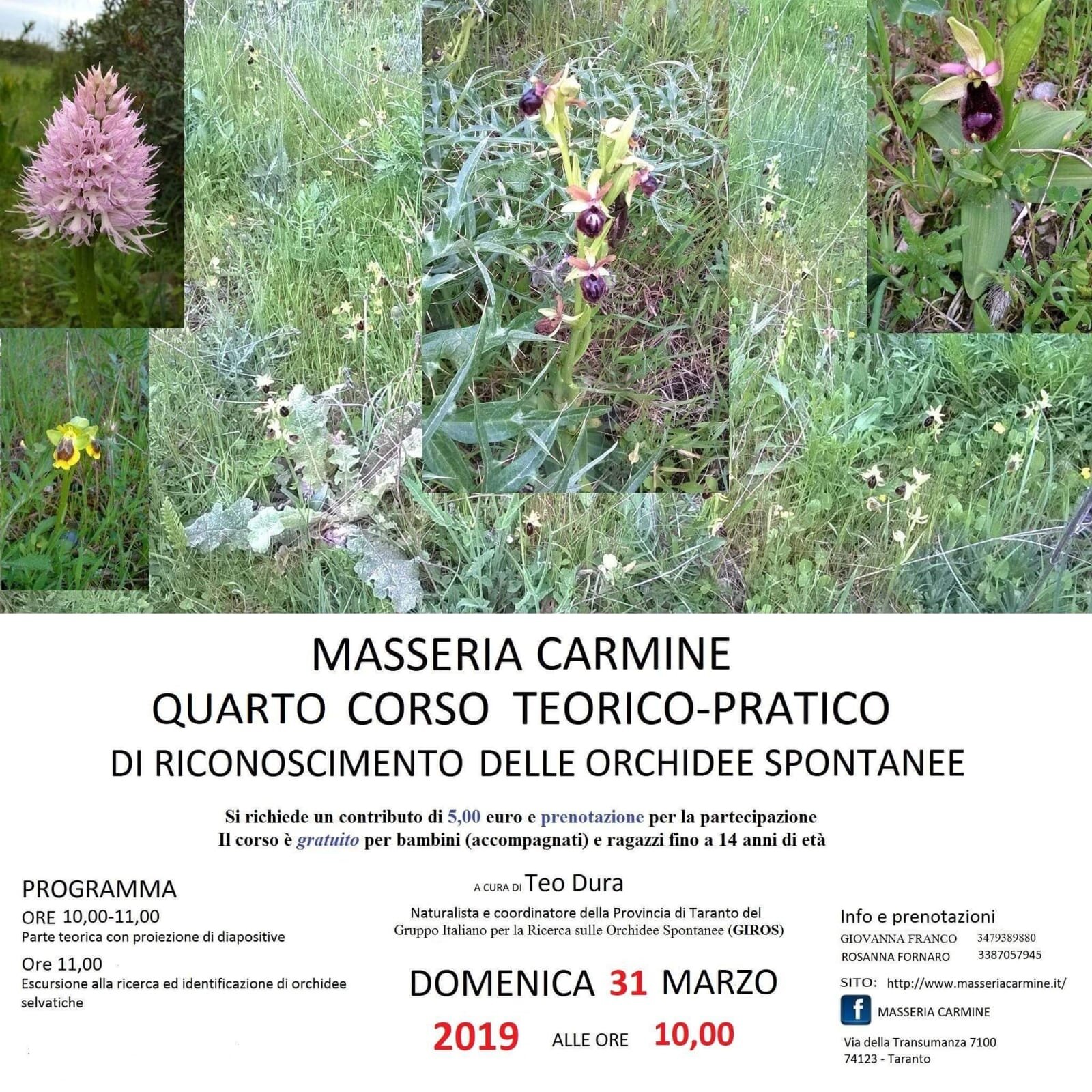 Alla Masseria Carmine quarto corso teorico - pratico di riconoscimento delle orchidee spontanee Alla Masseria Carmine quarto corso teorico - pratico di riconoscimento delle orchidee spontanee