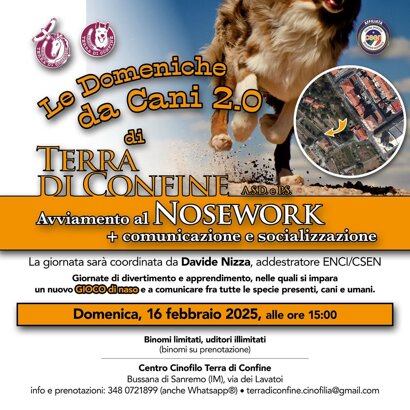 c8877fa1-a5ae-4a71-b2c8-f15752dcc781