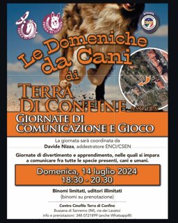 b0cef1e3-0b99-428d-a7df-b77a05a87347