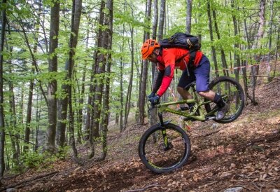 81e4a8a6-a4fd-4d75-b54d-a41e24b02136