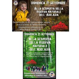 5aa9e90e-aab7-489c-a8d4-1285ac906d15