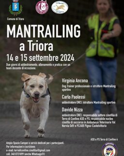 1f95c3db-22ef-4340-8322-dc59b449ff52