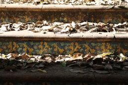 ac050096-c540-476a-99de-c1a4c8939950 ac050096-c540-476a-99de-c1a4c8939950