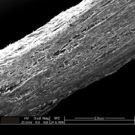 f197812f-c6a8-4a8b-a440-67d6238d238a