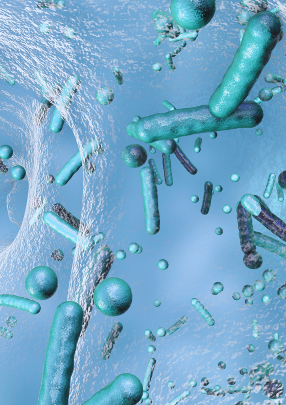 b6093587-09e0-4af4-b9bb-bc7793625dcb