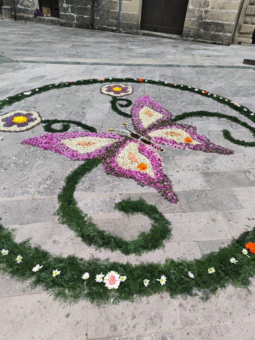 whatsapp image 2025-11-19 at 11.51.06(11).jpeg