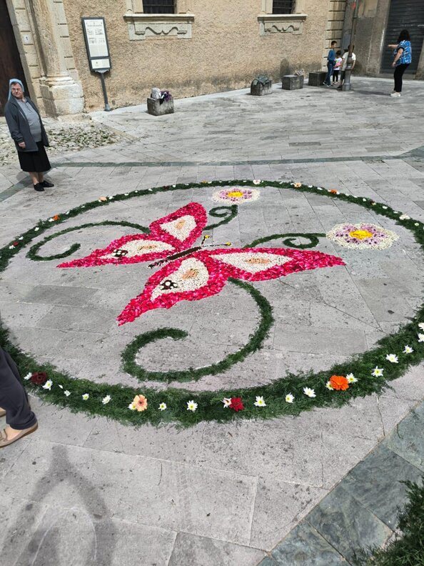 whatsapp image 2025-11-18 at 10.47.27(3).jpeg