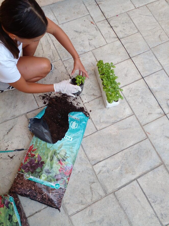 whatsapp image 2025-11-18 at 09.48.59(4).jpeg