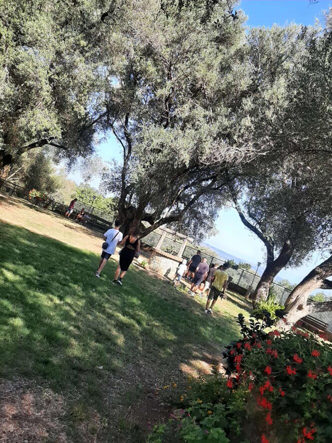 whatsapp image 2025-11-18 at 09.48.59(3).jpeg