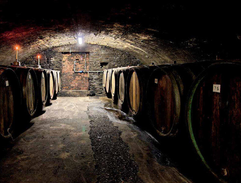Cantine e Controterra