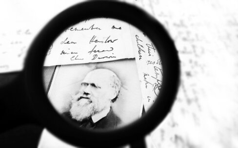 a6ae17f5-1266-43f4-a122-cc130b275e5b.jpeg a6ae17f5-1266-43f4-a122-cc130b275e5b.jpeg